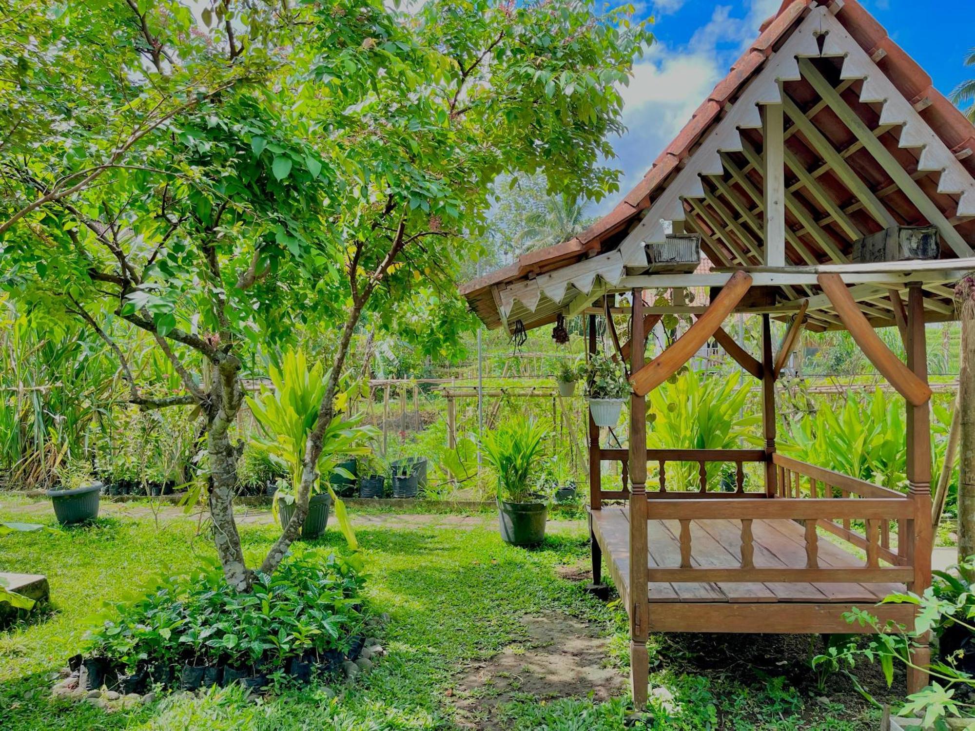 Pondok Isoke Bunggalow Баньюванги Экстерьер фото